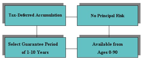 MYGA_Grid.jpg (20039 bytes)