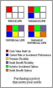 lifeinsurancematrix.JPG (37266 bytes)